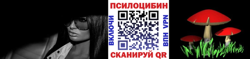 Псилоцибиновые грибы Cubensis  Купить закладки  Эртиль 